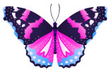 butterflyimg
